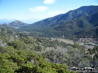 Swarthout Valley - Wrightwood CA