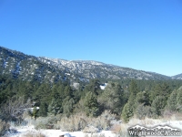 Swarthout Valley in Winter - Wrightwood CA