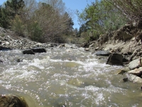 River running through Swarthout Valley as snow melts in local mountains - Wrightwood CA