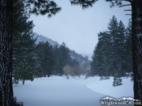 Swarthout Valley after a winter storm - Wrightwood CA