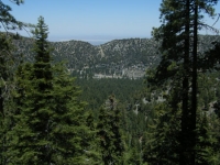 Swarthout Valley from Acorn Trail - Wrightwood CA