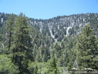 Acorn Canyon - Wrightwood CA