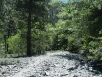 Trail up Acorn Canyon - Wrightwood CA