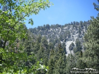 Ridge at the top of Acorn Canyon, as viewed from Acorn Trail - Wrightwood CA