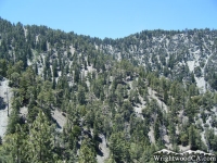 Acorn Canyon - Wrightwood CA