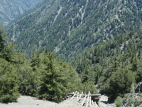 Looking down Mine Gulch from Bighorn Mine - Wrightwood CA