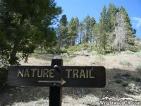 Big Pines Nature Trail - Wrightwood CA Hiking