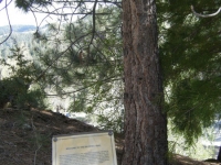 Big Pines Nature Trail - Wrightwood CA Hiking