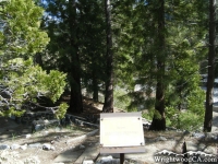 Big Pines Nature Trail - Wrightwood CA Hiking