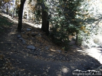 Blue Ridge Trail - Wrightwood CA Hiking