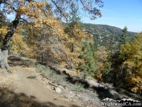 Blue Ridge Trail - Wrightwood CA Hiking