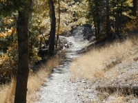 Blue Ridge Trail - Wrightwood CA Hiking