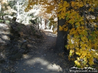 Blue Ridge Trail - Wrightwood CA Hiking