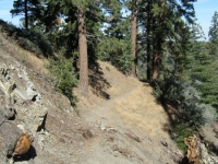 Climbing the hillside on Blue Ridge Trail - Wrightwood CA Hiking