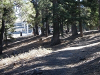 Near the top of the Blue Ridge Trail - Wrightwood CA Hiking