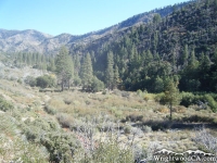 Prairie Fork Trail in Cabin Flat Campground - Wrightwood CA Hiking