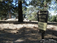Table Mountain Nature Trail - Wrightwood CA Hiking