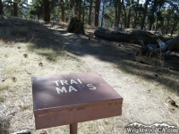 Table Mountain Nature Trail - Wrightwood CA Hiking