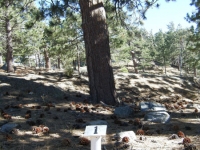 Trail Marker #1 on Table Mountain Nature Trail - Wrightwood CA Hiking