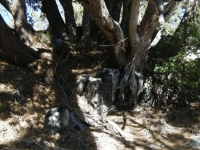 Trail Marker #2 on Table Mountain Nature Trail - Wrightwood CA Hiking