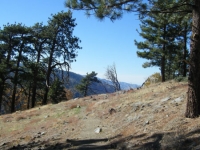 Table Mountain Nature Trail - Wrightwood CA Hiking