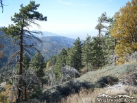 Looking down toward Jackson Lake on the Table Mountain Nature Trail - Wrightwood CA Hiking