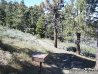 Start of Lightning Ridge Trail at Inspiration Point - Wrightwood CA Hiking