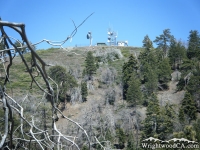 Looking up at Blue Ridge from Lightning Ridge Trail - Wrightwood CA Hiking