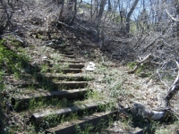 Stairs on Lightning Ridge Trail - Wrightwood CA Hiking