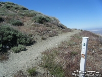 Pacific Crest Trail (PCT) - Wrightwood CA Hiking