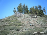 Pacific Crest Trail (PCT) - Wrightwood CA Hiking