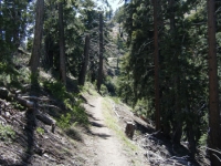 Pacific Crest Trail (PCT) - Wrightwood CA Hiking