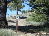 Pacific Crest Trail (PCT) - Wrightwood CA Hiking