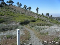 Pacific Crest Trail (PCT) - Wrightwood CA Hiking