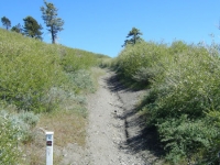 Pacific Crest Trail (PCT) - Wrightwood CA Hiking