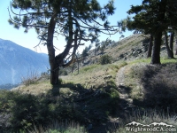 Pacific Crest Trail (PCT) - Wrightwood CA Hiking