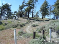 Pacific Crest Trail (PCT) - Wrightwood CA Hiking