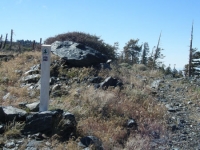 Pacific Crest Trail (PCT) approaching Guffy Campground - Wrightwood CA Hiking