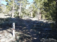 Pacific Crest Trail (PCT) leaving Guffy Campground - Wrightwood CA Hiking