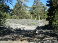 Pacific Crest Trail (PCT) - Wrightwood CA Hiking