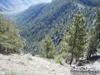 Pacific Crest Trail (PCT) at top of Wright Mountain, overlooking Slover Canyon - Wrightwood CA Hiking