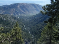 Pacific Crest Trail (PCT) looking down Slover Canyon - Wrightwood CA Hiking