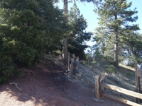 Mt Baden Powell Trail - Wrightwood CA Hiking