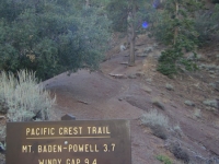 Mt Baden Powell Trail - Wrightwood CA Hiking