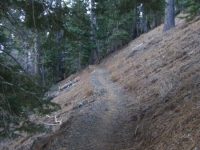 Mt Baden Powell Trail - Wrightwood CA Hiking