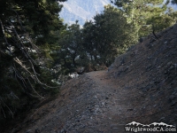 Mt Baden Powell Trail - Wrightwood CA Hiking