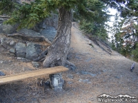 Bench on Mt Baden Powell Trail - Wrightwood CA Hiking