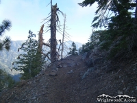 Mt Baden Powell Trail - Wrightwood CA Hiking