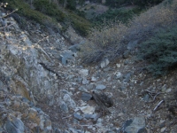 Lamel Springs, just off of the Mt Baden Powell Trail - Wrightwood CA Hiking