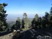 Mt Baden Powell Trail - Wrightwood CA Hiking